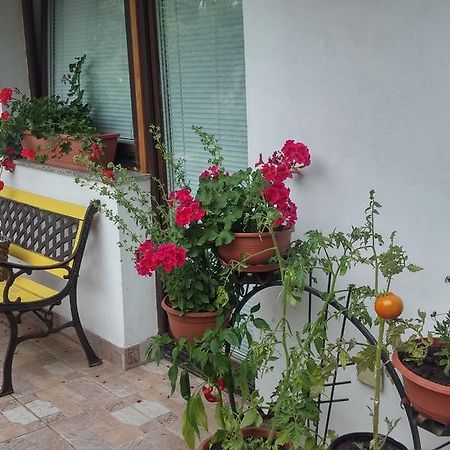 Darja Guesthouse Dob ภายนอก รูปภาพ