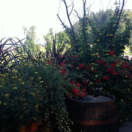 Darja Guesthouse Dob ภายนอก รูปภาพ