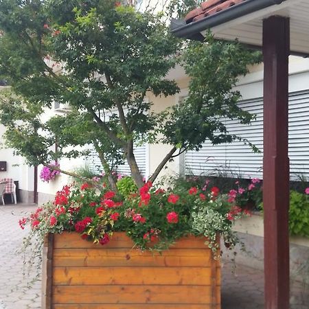 Darja Guesthouse Dob ภายนอก รูปภาพ