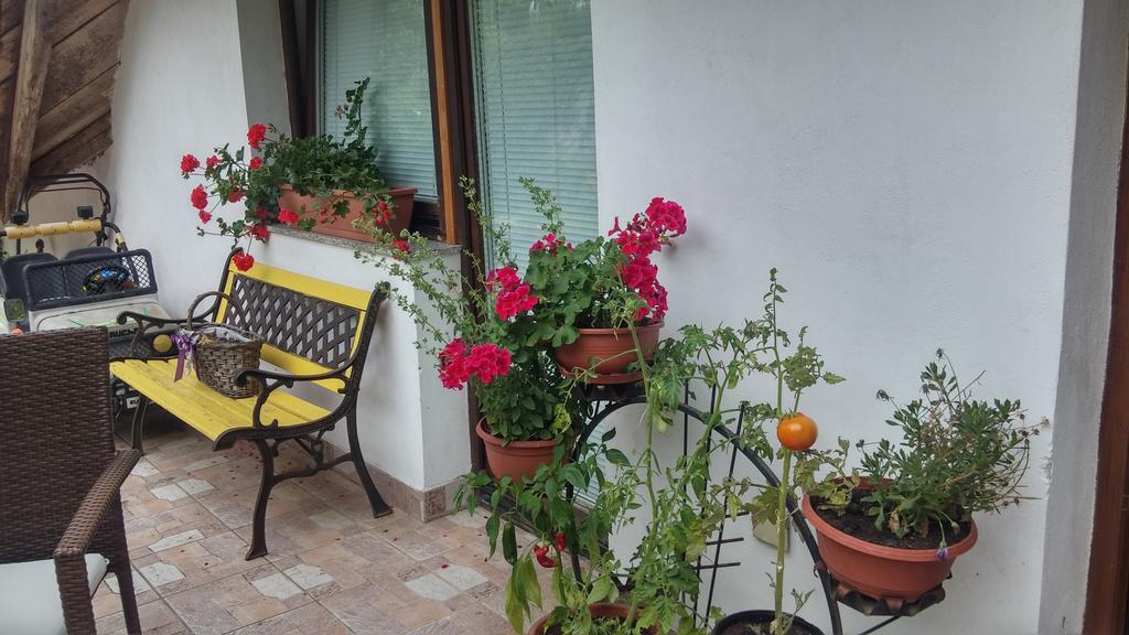 Darja Guesthouse Dob ภายนอก รูปภาพ