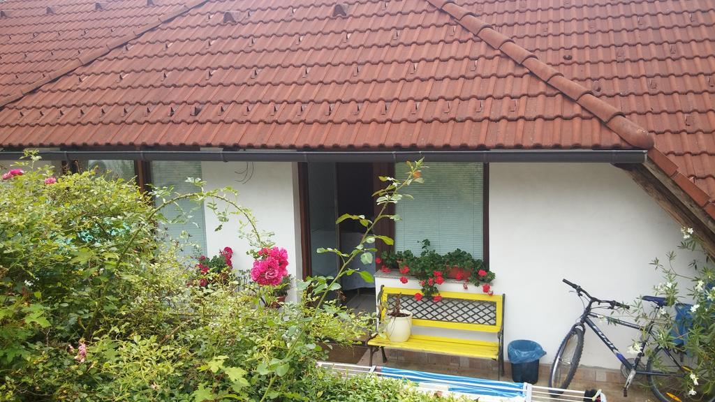 Darja Guesthouse Dob ภายนอก รูปภาพ
