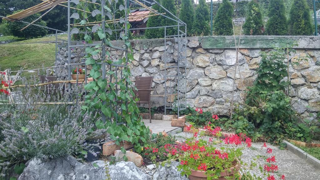 Darja Guesthouse Dob ภายนอก รูปภาพ